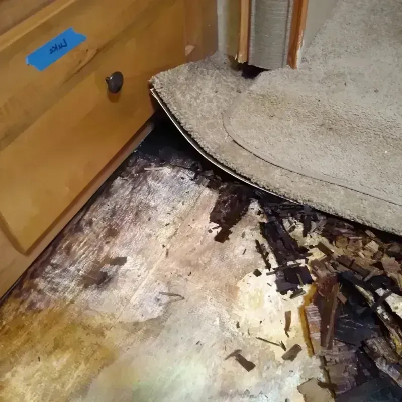 Wood Floor Water Damage in Chesapeake, VA